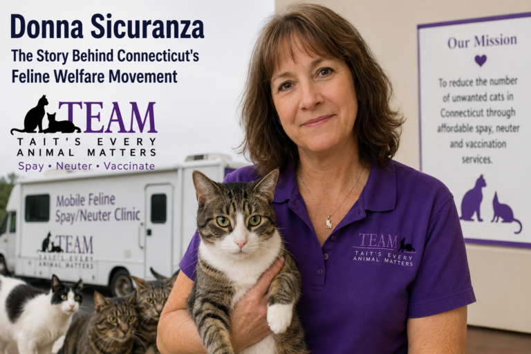 Donna Sicuranza: The Story Behind Connecticut’s Feline Welfare Movement Donna Sicuranza